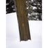 ARBOR A-FRAME Camber Snowboard 2027