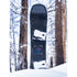 ARBOR Astrowaste DPC Snowboard by Bryan Iguchi 2027