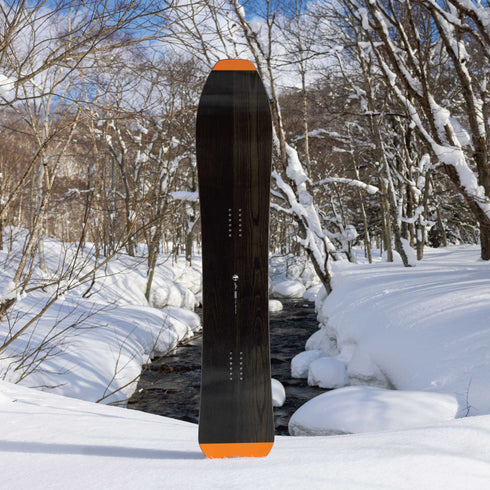 ARBOR Padre Camber 2024