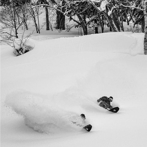 ARBOR Padre Camber 2024